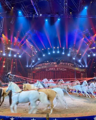 Circus Golden Star Colorado Springs