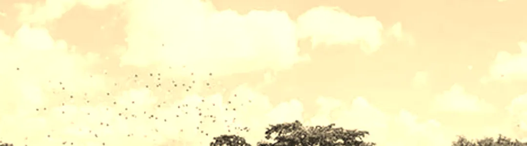 Colorado Springs Tattoo Arts Festival