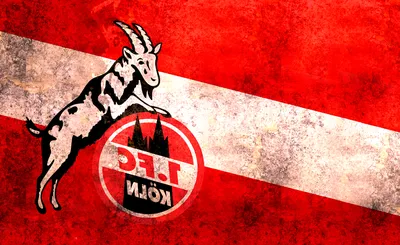 FC Koln
