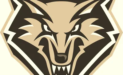New Mexico Lobos