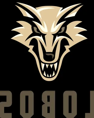 New Mexico Lobos vs. Air Force Falcons sports event