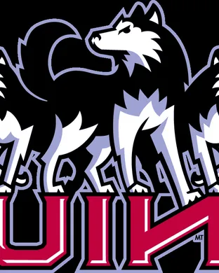 Northern Illinois Huskies vs. Air Force Falcons