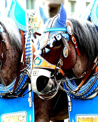 Oktoberfest - Lunch Reservation