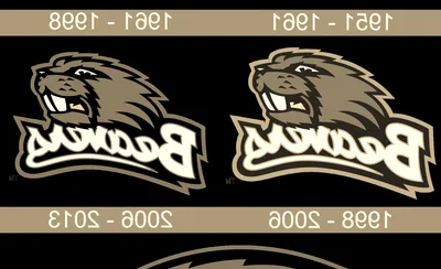 Oregon State Beavers