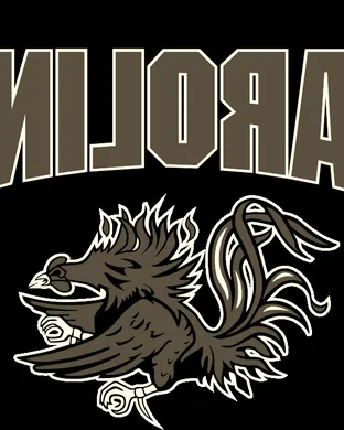 South Carolina Gamecocks vs. Air Force Falcons 