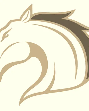 Texas Arlington Mavericks vs. Air Force Falcons sports event