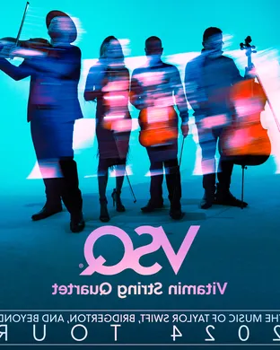 Vitamin String Quartet