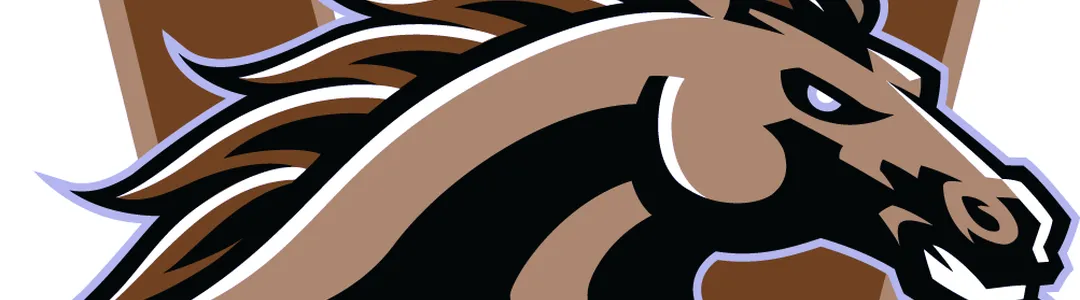 Western Michigan Broncos
