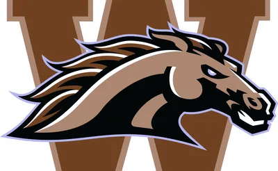 Western Michigan Broncos