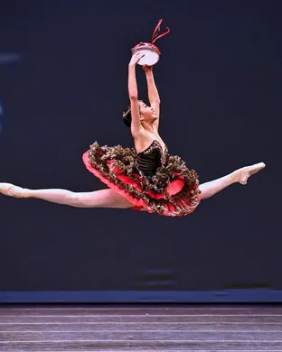 World Ballet Company