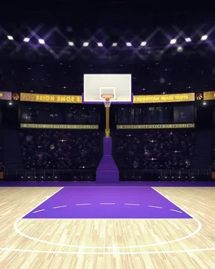 Air Force Falcons Basketball